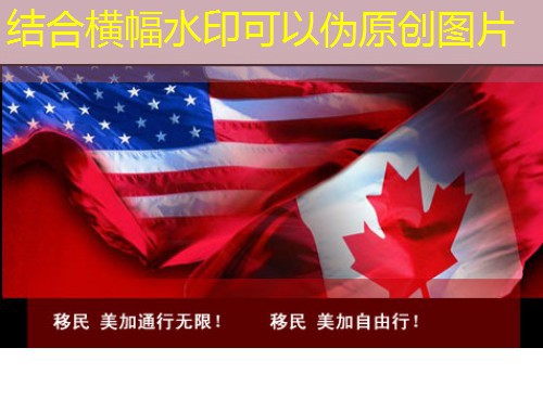 进入汉德欧移民官网